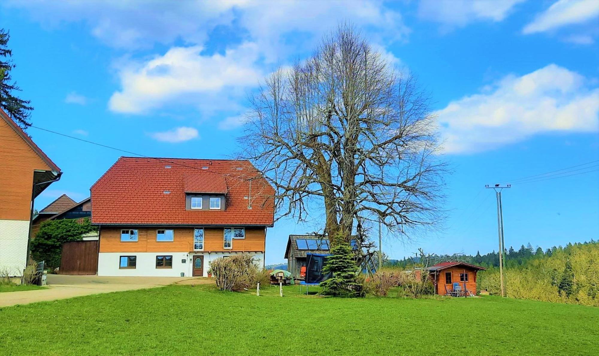 Apartmán Suessen Haeusle Breitnau Exteriér fotografie