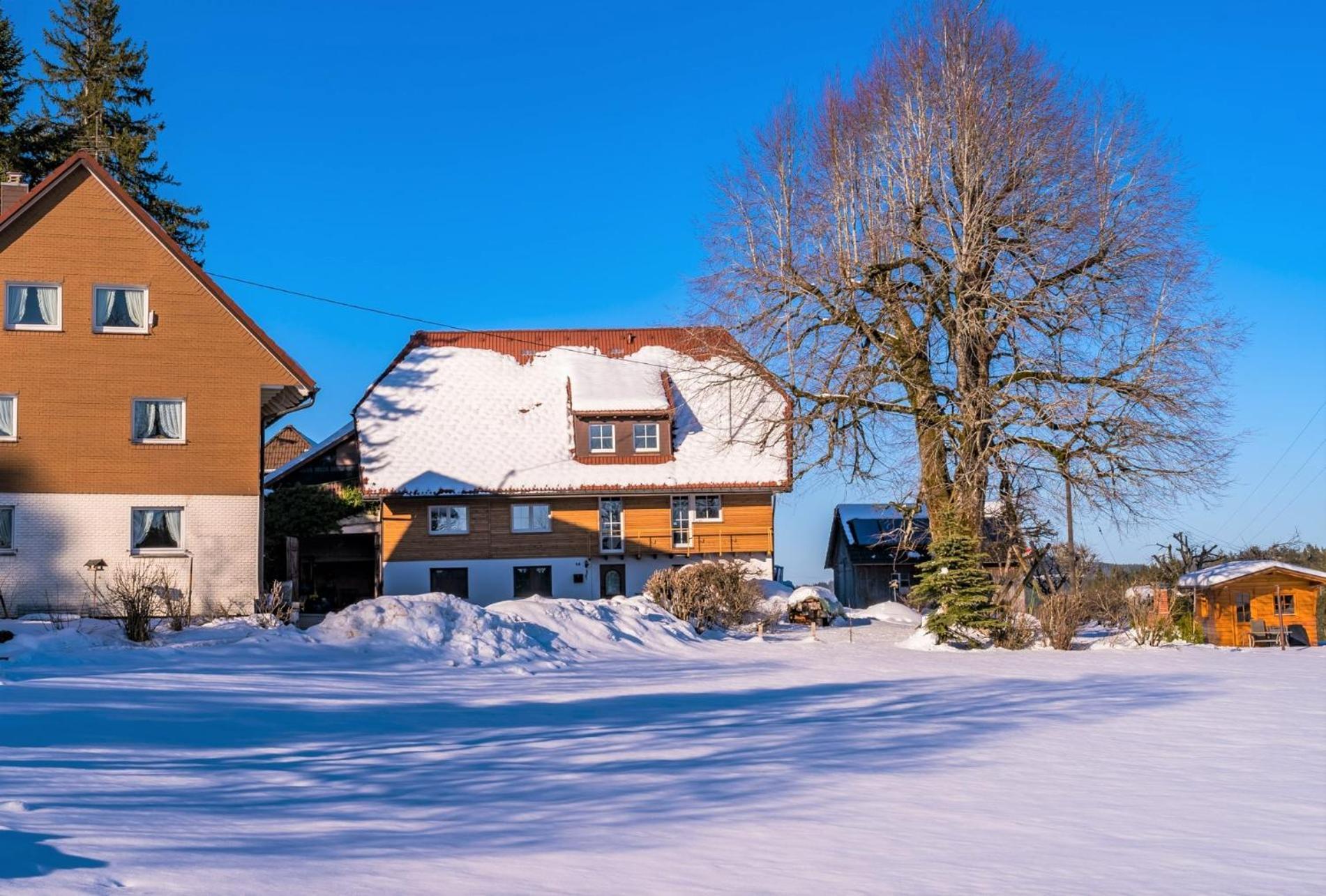 Apartmán Suessen Haeusle Breitnau Exteriér fotografie